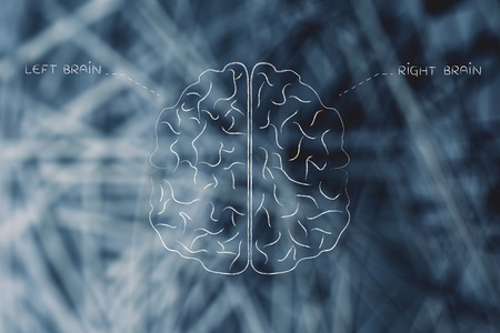 flat illustration of a brain with left and right captionの写真素材