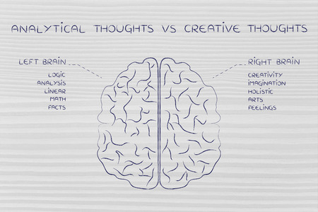 analytical thoughts vs creative thoughts: flat illustration of a brain with left and right caption and detailed function descriptionsの写真素材