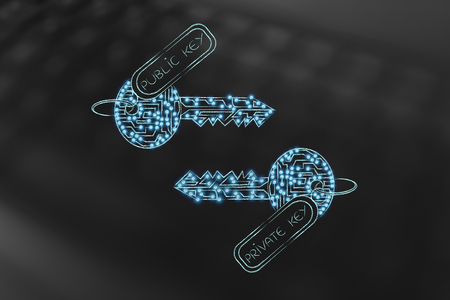 encryption algorithms and cryptography concepts: matching keys made of electronic microchip circuits...