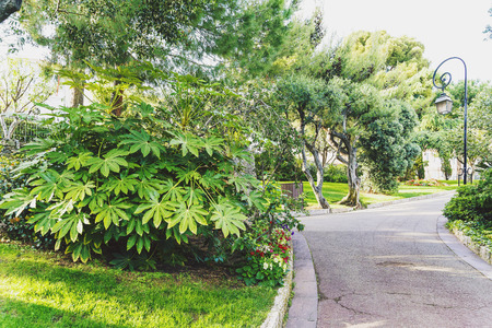 MONACO, MONTECARLO - 06 May, 2016: Exotic plants and seaside view from the Jardins de Saint Martin park in Monaco, Montecarloのeditorial素材