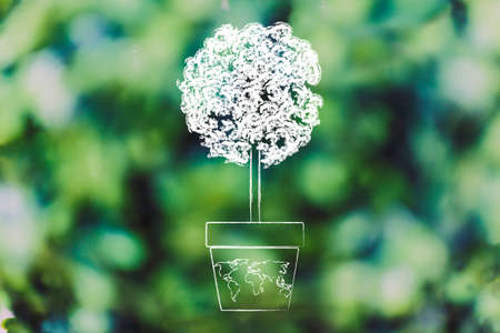 tree growing from a vase with world map on it
