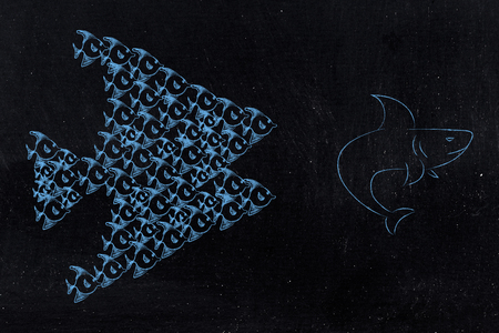 groupf of small fish chasing and scaring a shark together, concept of strong teamの写真素材