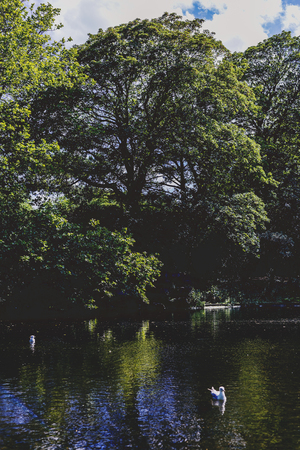 DUBLIN, IRELAND - 10th June, 2017: detail of St Stephen's Green Park in Dublin city centreのeditorial素材