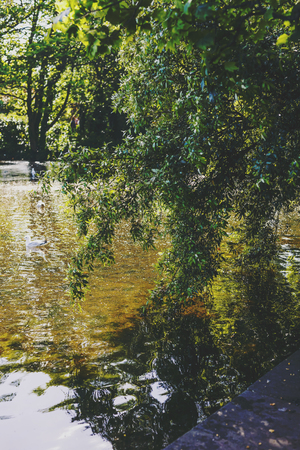 DUBLIN, IRELAND - 10th June, 2017: detail of St Stephen's Green Park in Dublin city centreのeditorial素材