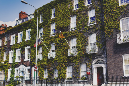 DUBLIN, IRELAND - 10th June, 2017: detail of the green ivy covering the facade of a building in Dublin city centreのeditorial素材