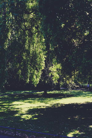 DUBLIN, IRELAND - 10th June, 2017: detail of St Stephen's Green Park in Dublin city centreのeditorial素材