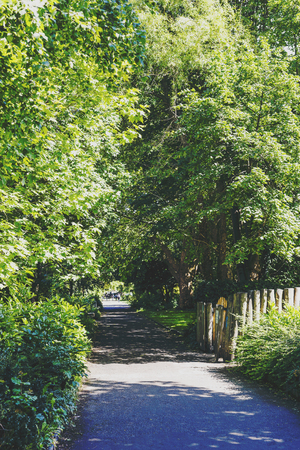DUBLIN, IRELAND - 10th June, 2017: detail of Merrion Square Park in Dublin city centreのeditorial素材