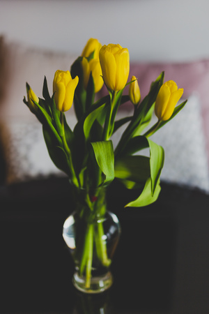 vase of yellow tulips on table in indoor settings with neutral toned cushions behindの写真素材