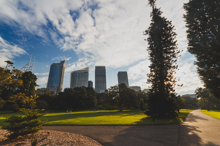 SYDNEY, AUSTRALIA - July 13th, 2013: view of the Royal Botanic Gardens in Sydney CBDのeditorial素材