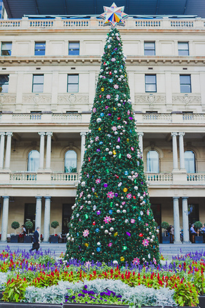 SYDNEY, AUSTRALIA - December 16th, 2013: Christmas Tree in front of the Sydney City Hallのeditorial素材