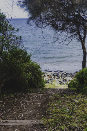 detail view of Tasmanian beach with rocks and bush trees on an overcast dayの写真素材