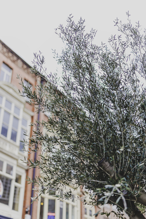 DUBLIN, IRELAND - April 1st, 2018: detail of Wicklow Stree in Dublin city centreのeditorial素材