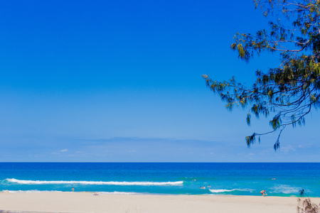 GOLD COAST, AUSTRALIA - December 28th, 2013: the beach and landscape in Surfers Paradise on the Gold Coast, a popular destination in Queenslandのeditorial素材