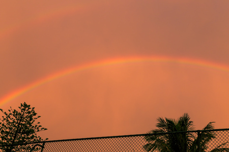 the beach and landscape in Surfers Paradise on the Gold Coast, a popular destination in Queenslandの写真素材