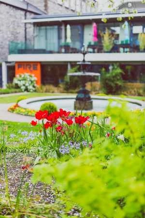 DUBLIN, IRELAND - May 1st, 2018: detail of garden from the Fire restaurant in DUblin city centreのeditorial素材