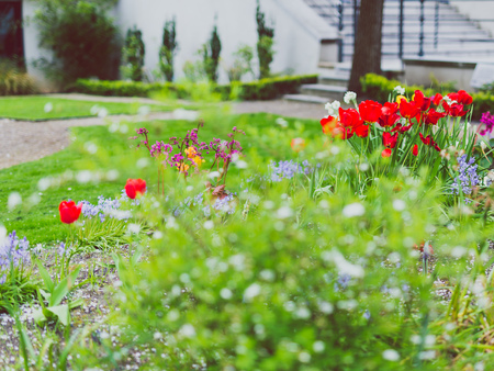 DUBLIN, IRELAND - May 1st, 2018: detail of garden from the Fire restaurant in DUblin city centreのeditorial素材