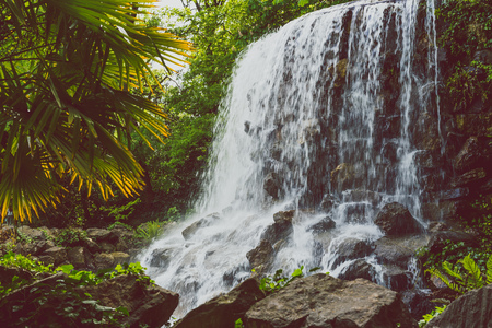 small waterfall with palm tree in public garden surrounded by greeneryの写真素材