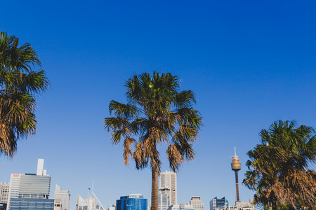 SYDNEY, AUSTRALIA - December 26th, 2014: view of Sydney CBD skyline as seen from Darling Harbour
