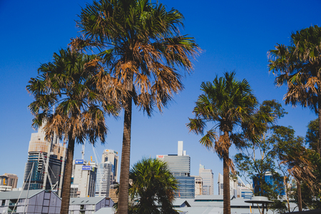 SYDNEY, AUSTRALIA - December 26th, 2014: view of Sydney CBD skyline as seen from Darling Harbourのeditorial素材