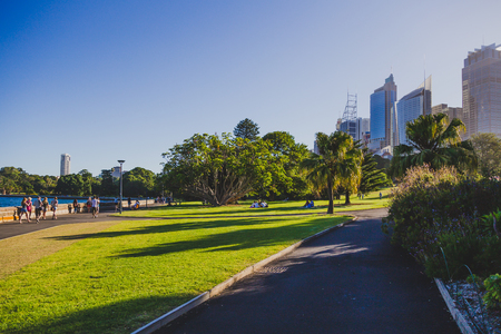 SYDNEY, AUSTRALIA - December 30th, 2014: detail of the Royal Botanic Gardens in Sydney CBD, a park with views over the Harbour and the skyscrapers of Sydney CBDのeditorial素材