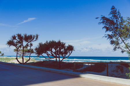 GOLD COAST, AUSTRALIA - January 6th, 2015: beach and greenery view from Surfers Paradise main seaside walkのeditorial素材