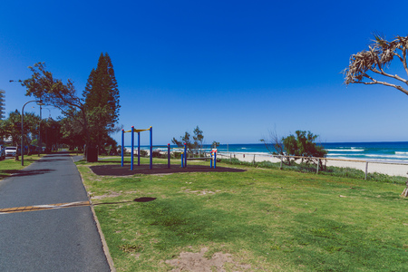 GOLD COAST, AUSTRALIA - January 16th, 2015: tropical trees and plant along Surfers Paradise beach in...