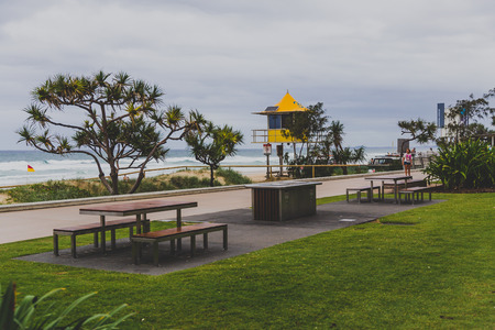 GOLD COAST, AUSTRALIA - January 13th, 2015: beach and greenery in Surfers Paradiseのeditorial素材