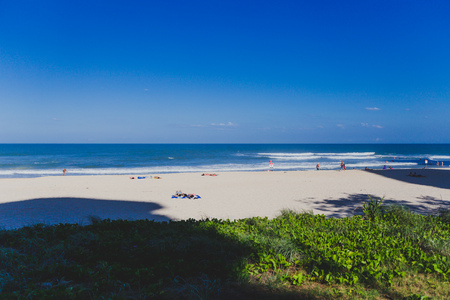 GOLD COAST, AUSTRALIA - January 15th, 2015: pristine beach in Surfers Paradise with tropical plants and greenery next to the sandのeditorial素材