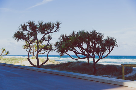 GOLD COAST, AUSTRALIA - January 6th, 2015: beach and greenery view from Surfers Paradise main seaside walkのeditorial素材