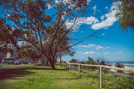 GOLD COAST, AUSTRALIA - January 15th, 2015: pristine beach in Surfers Paradise with tropical plants and greenery next to the sandのeditorial素材