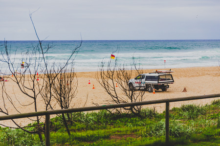 GOLD COAST, AUSTRALIA - January 13th, 2015: beach and greenery in Surfers Paradiseのeditorial素材