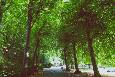DUBLIN, IRELAND - August 4th, 2018: detail of St Stephen's Green park in DUblin city centre shot in full summerのeditorial素材