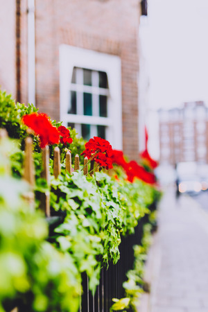 LONDON, UNITED KINGDOM - August 23rd, 2018: beautiful London fences with flowers and decor shot at shallow depth of fieldのeditorial素材