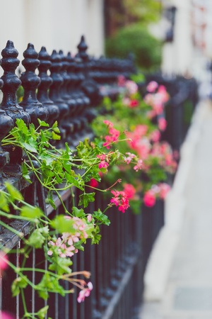 LONDON, UNITED KINGDOM - August 22nd, 2018: beautiful London fences with flowers and decor shot at shallow depth of fieldのeditorial素材