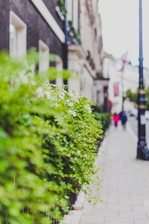 LONDON, UNITED KINGDOM - August 13th, 2018: beautiful London fences with flowers and decor shot at shallow depth of fieldのeditorial素材