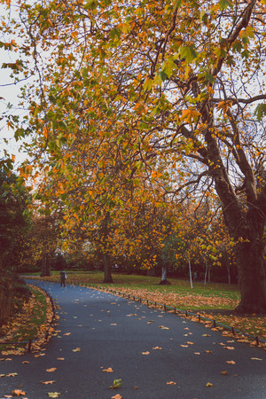 DUBLIN, IRELAND - October 27th, 2018: view of St Stephen's Green park in Dublin city centre in early Autumnのeditorial素材