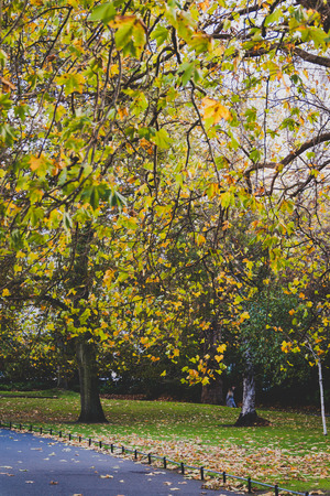 DUBLIN, IRELAND - October 27th, 2018: view of St Stephen's Green park in Dublin city centre in early Autumnのeditorial素材