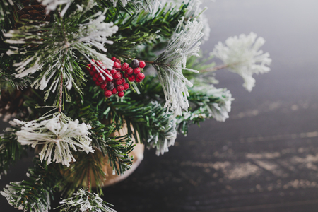 Christmas tree with pine cones and mistletoes berries and hints of snow on the branches, cozy festive winter holidays feelingの写真素材