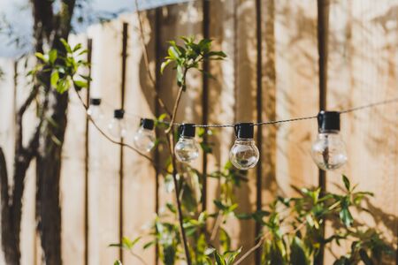 trendy globe string lights outdoor hanging from trees in private garden with wooden fence and greenery in the backgroundの写真素材
