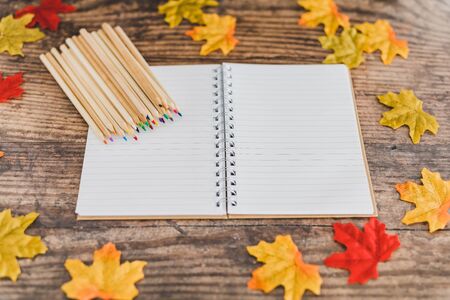 back to school tabletop arrangement with coloured pencils notepad and mixed stationery items among autumn leaves, concept of new school yearの写真素材
