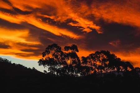 dramatic red sunset clouds over hillside scenery with gum trees silhouettesの写真素材