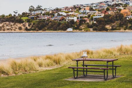HOBART, AUSTRALIA - August 31st, 2019: beach landscape in Blackmans Bay in Hobart, Tasmania in Australiaのeditorial素材