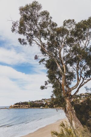 HOBART, AUSTRALIA - August 31st, 2019: beach landscape in Blackmans Bay in Hobart, Tasmania in Australiaのeditorial素材