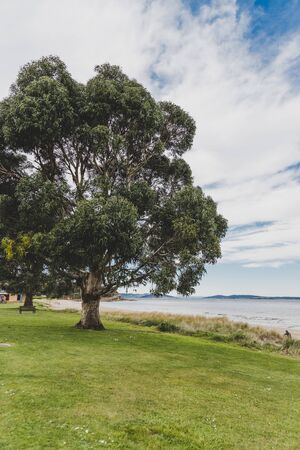 HOBART, AUSTRALIA - August 31st, 2019: beach landscape in Blackmans Bay in Hobart, Tasmania in Australiaのeditorial素材