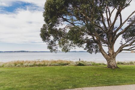 HOBART, AUSTRALIA - August 31st, 2019: beach landscape in Blackmans Bay in Hobart, Tasmania in Australiaのeditorial素材