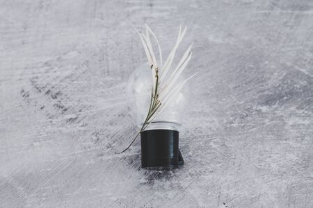 ideas for the environment and climate change metaphor, lightbulb next to dry branch of palm leaves