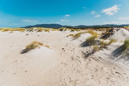 sand dunes along deserted beach in Marion Bay along the East Coast of Tasmania Australiaの写真素材