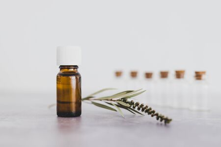 natural beauty and wellness concept, essential oil bottle with tiny branch of leaves and other bottles in the background shot at shallow depth of fieldの写真素材