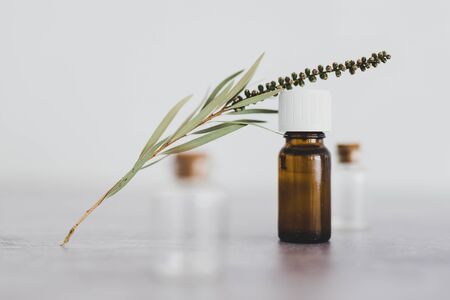 natural beauty and wellness concept, essential oil bottle with tiny branch of leaves and other bottles in the background shot at shallow depth of fieldの写真素材