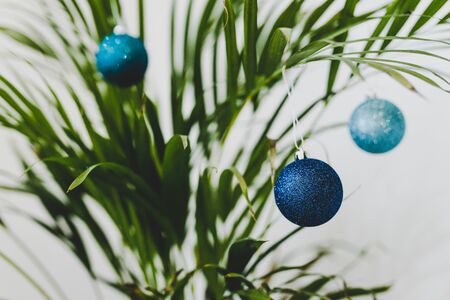 alternative Christmas tree conceptual still-life, palm tree with Christmas baubles as decoration for the festive season happening in summer for the Southern Hemisphereの写真素材